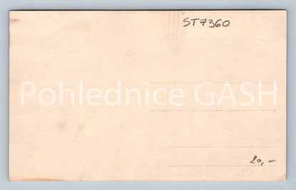 Postcard LOUNY (ST7360)