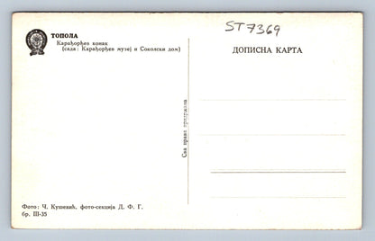 Postcard RUSSIAN VILLAGE (ST7369)