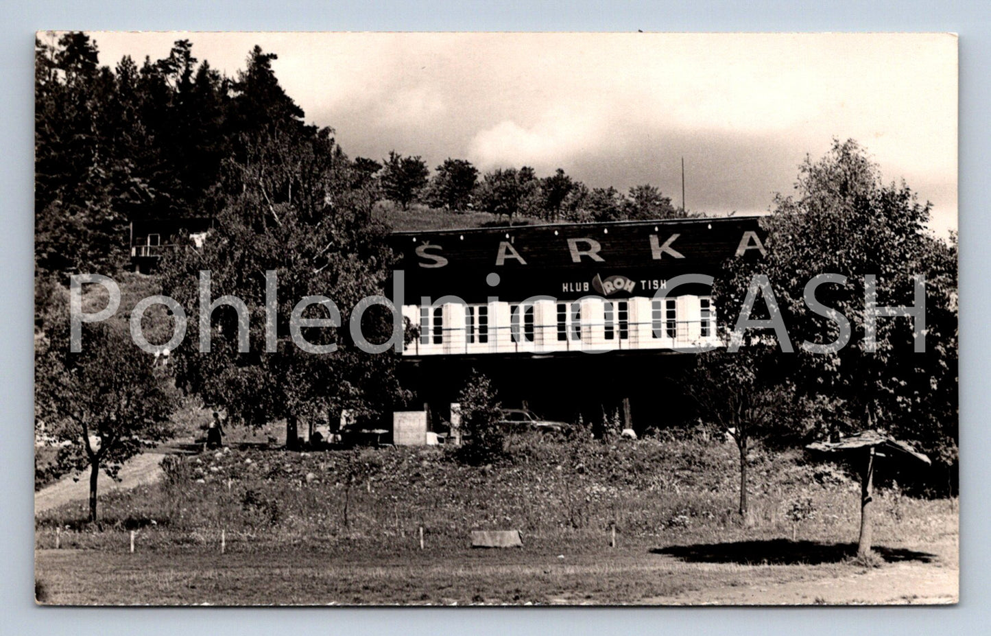 Postcard ŠÁRKA - CLUB ROH PRINT (ST7377)