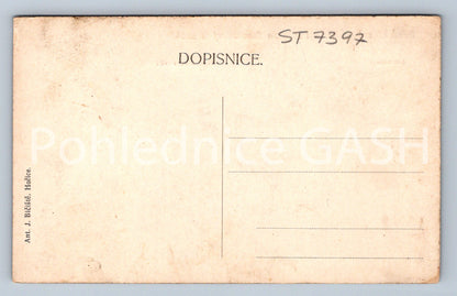 Postcard HOŘICE - PARTY FROM CREAM ORCHARDS (ST7397)