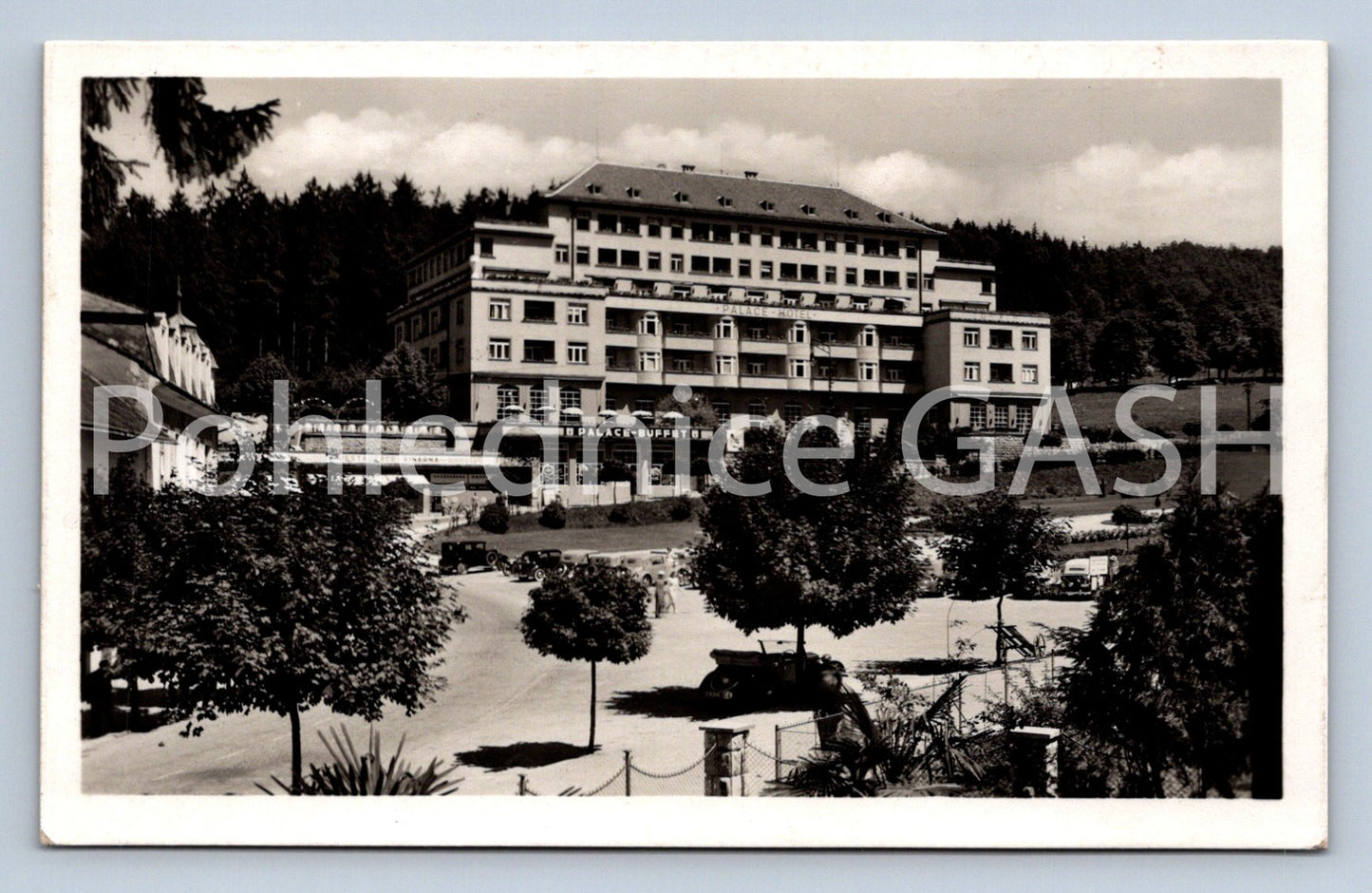 Postcard LÁZNĚ LUHAČOVICE - PALACE HOTEL (ST7408)