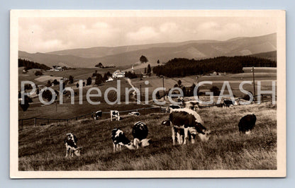 Postcard BESKYDY - ON GRUNI (ST7415)