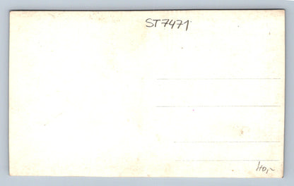 BUDWAISER Postcard (ST7471)