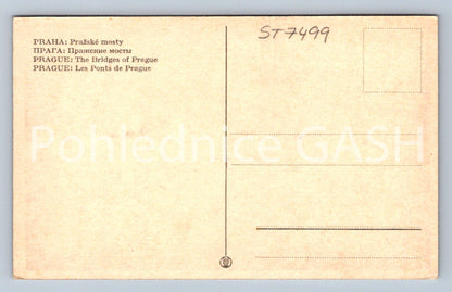 Postcard PRAGUE - PRAGUE BRIDGES (ST7499)