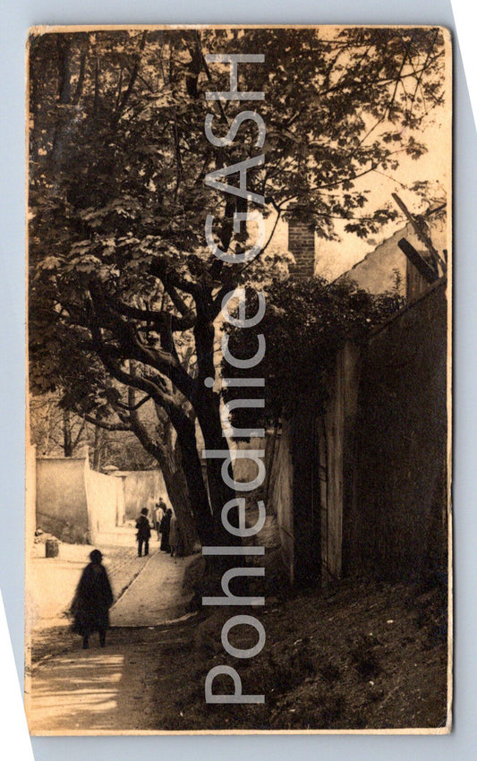 Postcard PRAGUE (ST7513)