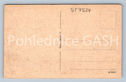 Postcard PRAGUE (ST7524)