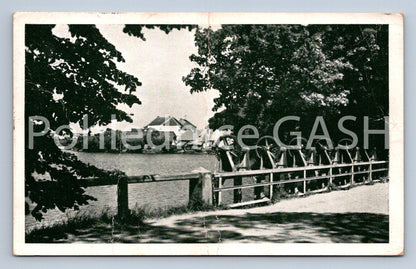 Postcard ROŽMITÁL POD TŘEMŠÍNEM (ST7572)