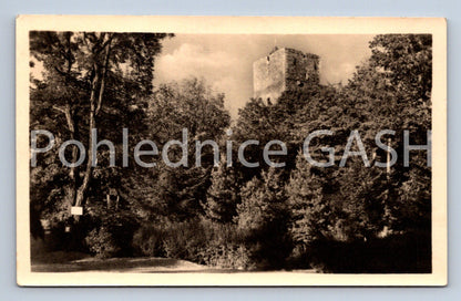 Postcard RADYNĚ CASTLE (ST7576)