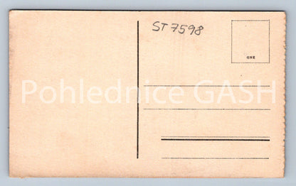 Postcard KUNĚTICKÁ HORA (ST7598)