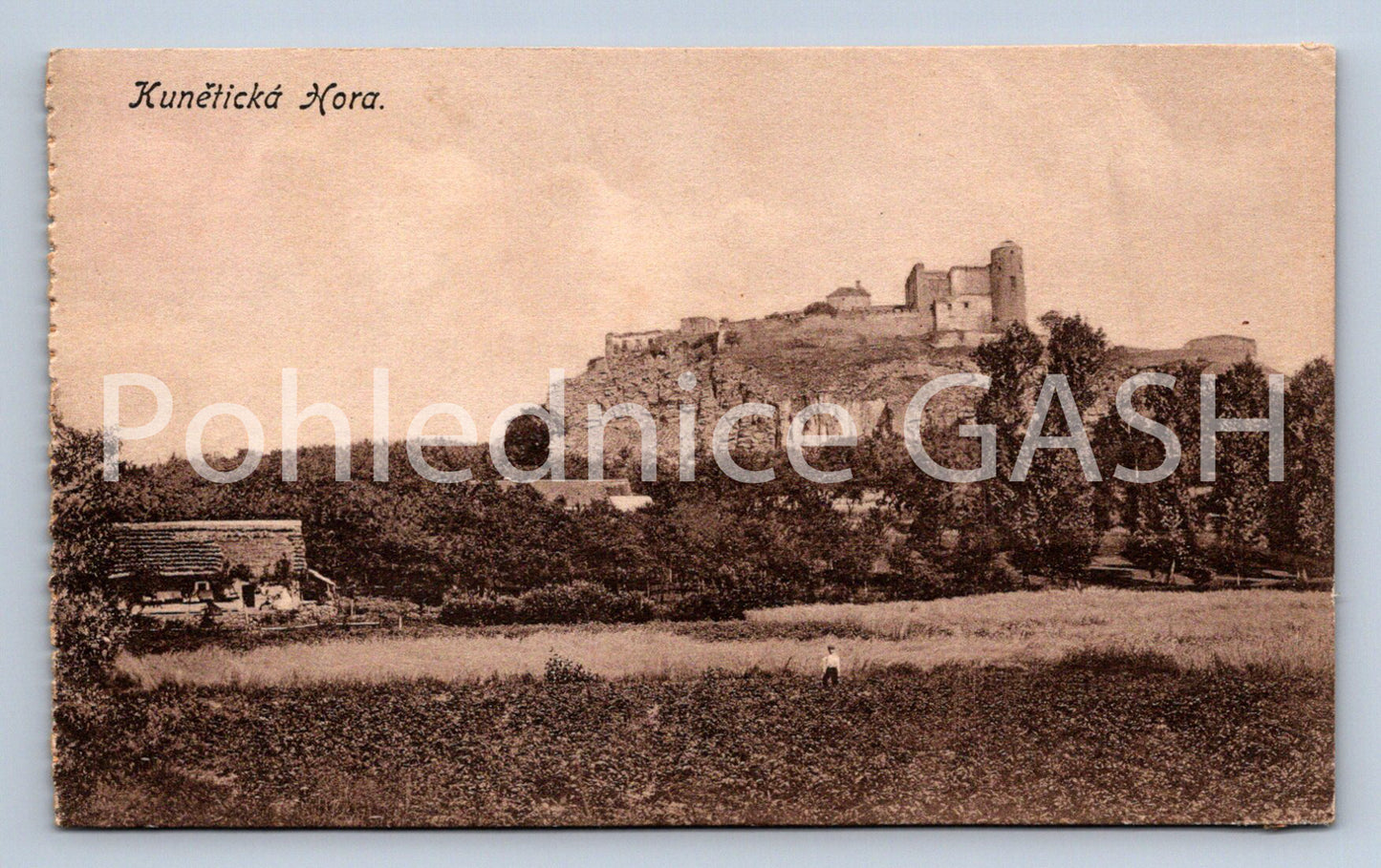 Postcard KUNĚTICKÁ HORA (ST7598)