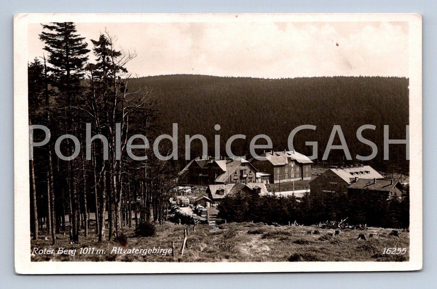 Postcard ROTER GERG (ST7759)