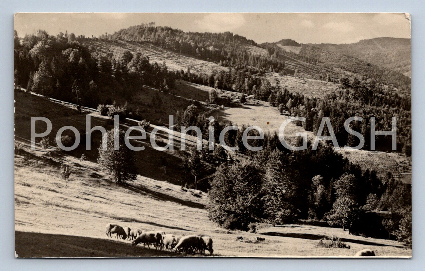 Postcard CAROLINE IN WALLASHIA (ST7764)