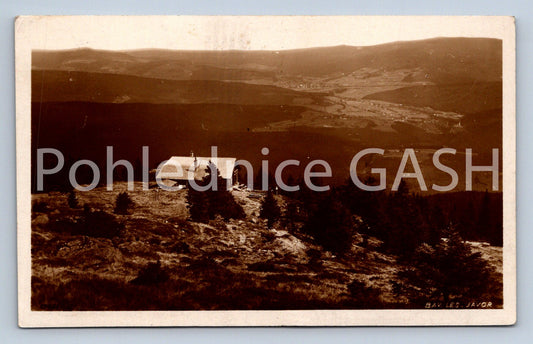 Postcard BAVARIAN MAPLE FOREST (ST7792)