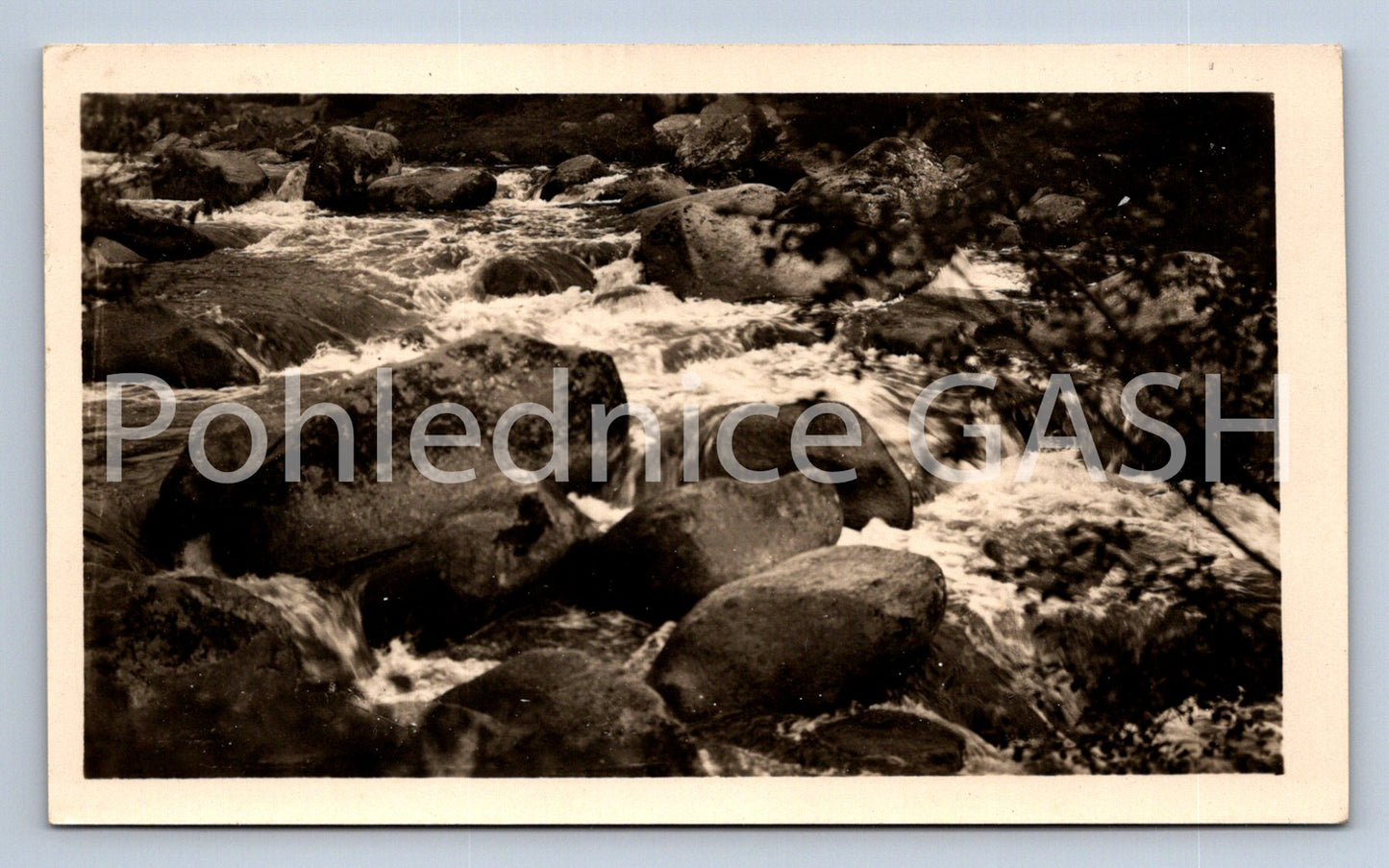 Postcard ŠUMAVA - SUŠICKO (ST7857)