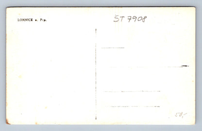 Postcard LOMNICE N. POP. (ST7908)