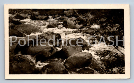 Postcard ŠUMAVA - SUŠICKO (ST7960)