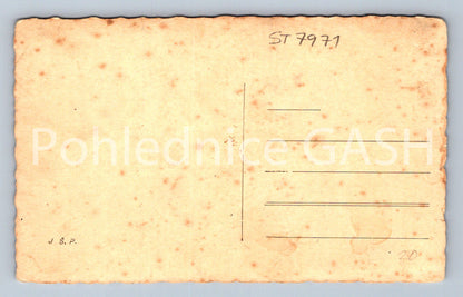 Postcard VELEHRAD (ST7971)