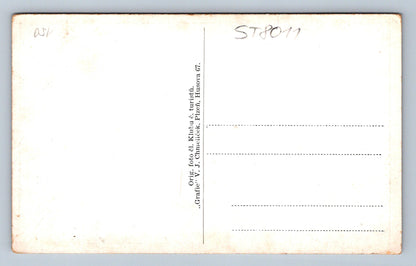 Postcard ŠUMAVA (ST8011)