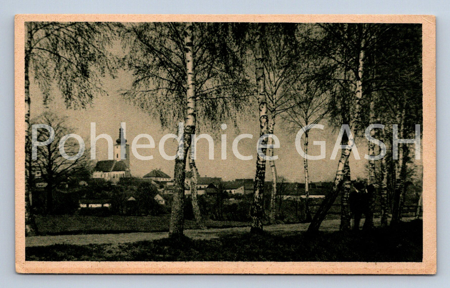 Postcard MERRY OVER THE LUŽNICI (ST8015)