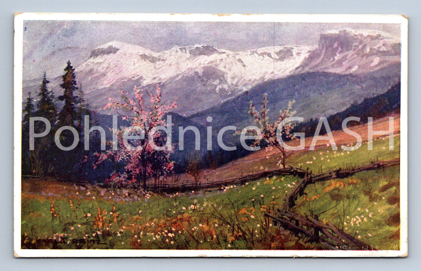 Postcard PAYERBACH (ST8021)