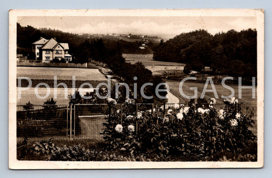 Postcard CZECH SKALICE (ST8024)