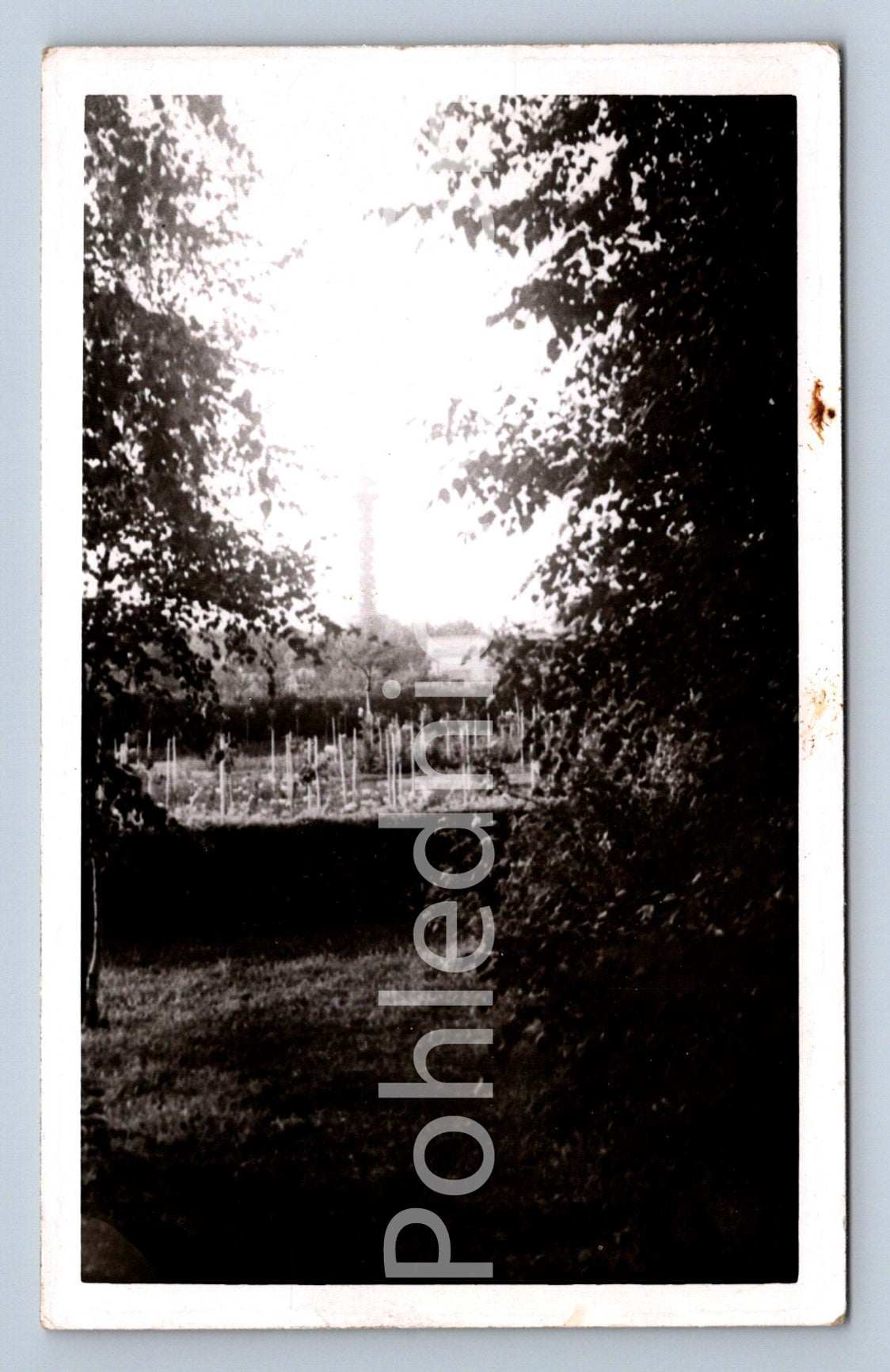 Postcard PRAGUE (ST8034)