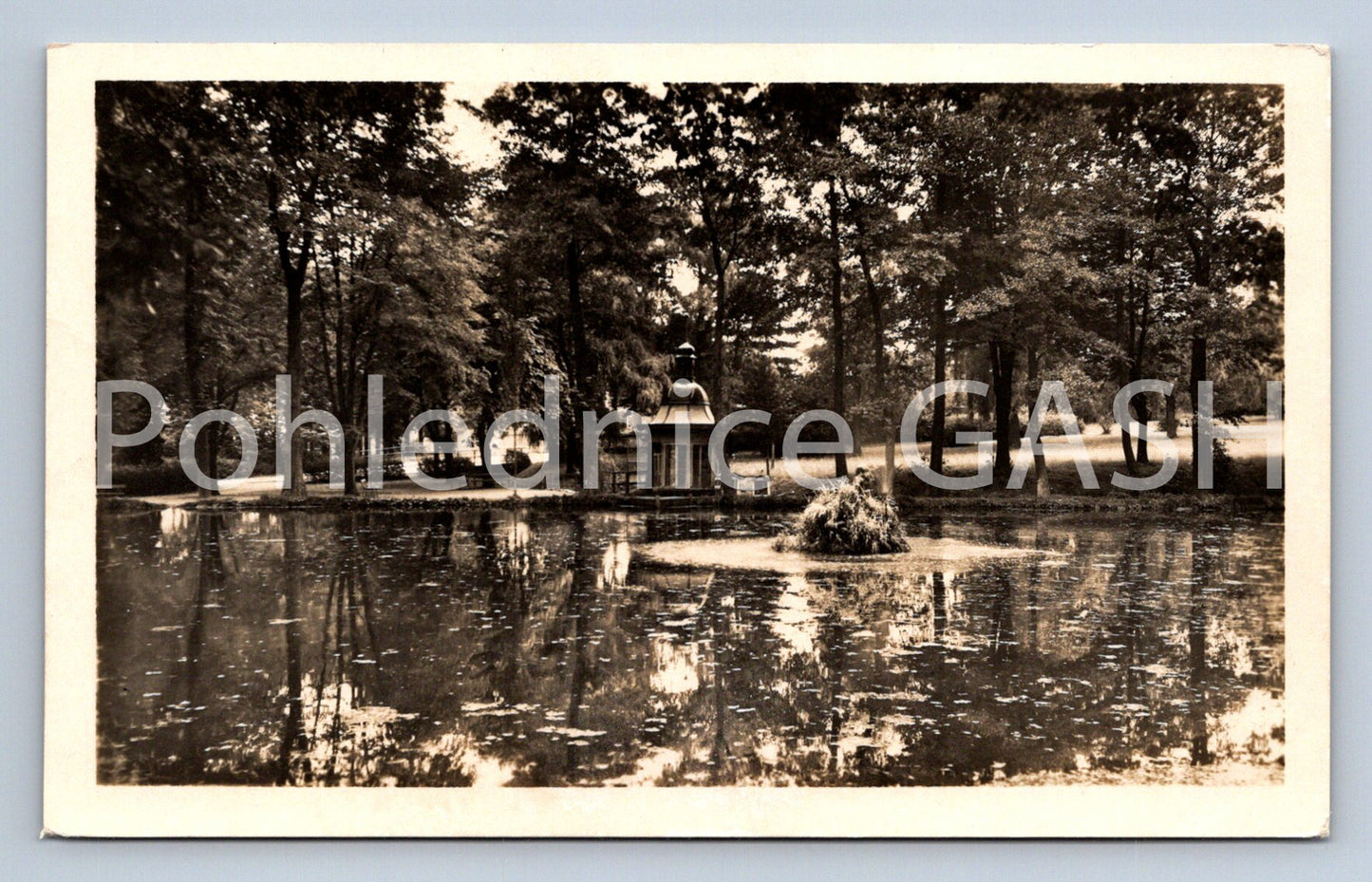 Postcard ČESKÁ TŘEBOVÁ (ST8048)