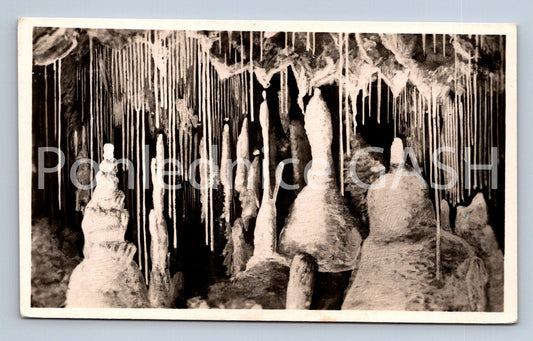 Postcard MACOCHA (ST8067)