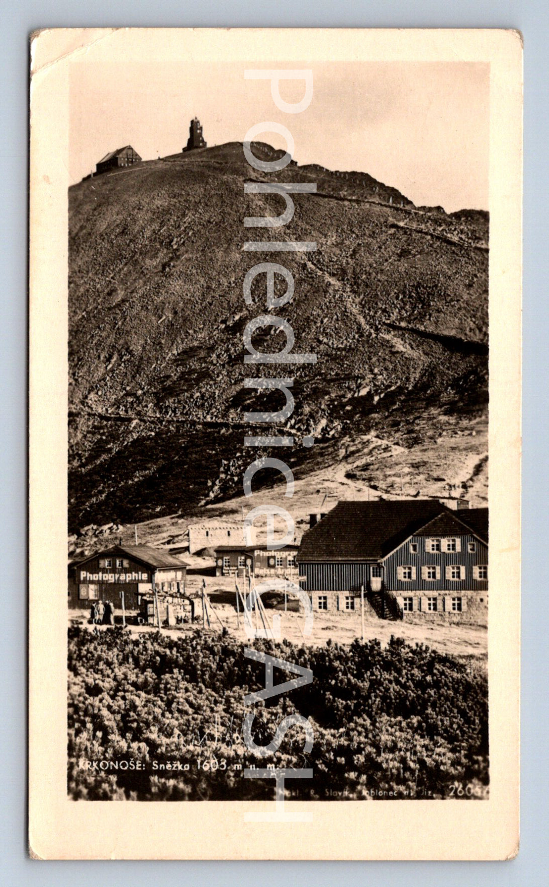 Postcard SNOWFLAKE (ST8102)