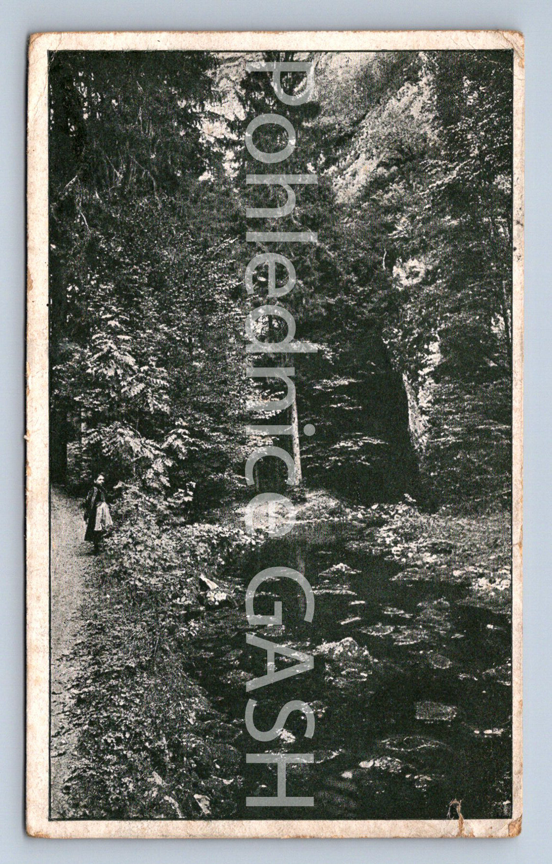 Postcard PUNKVA (ST8108)