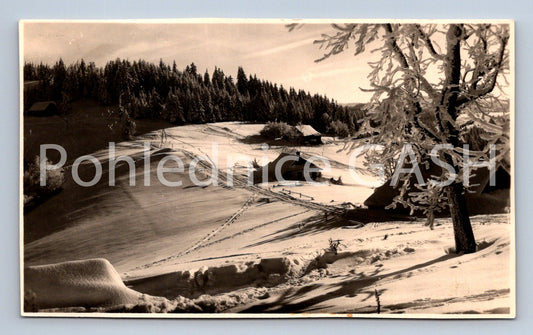 Postcard WINTER GREETINGS FROM BESKYD (ST8119)