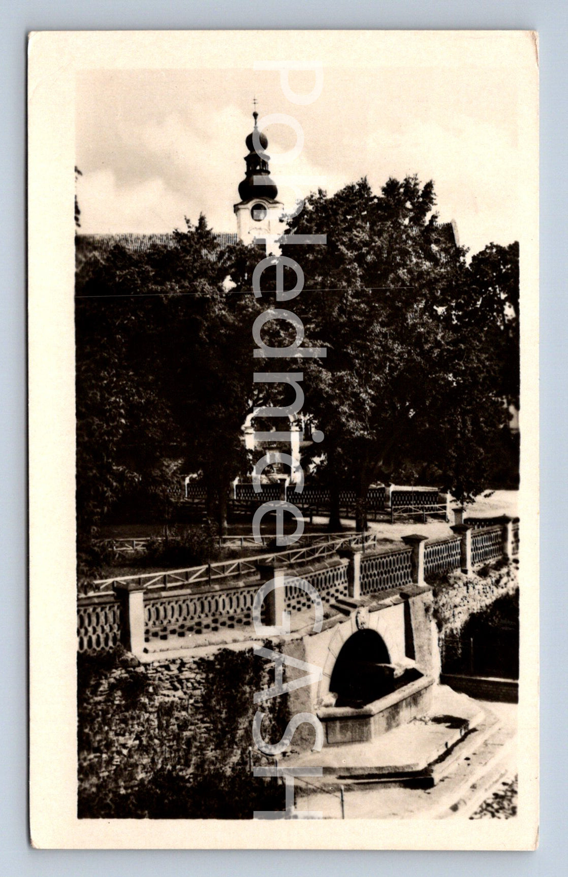 Postcard YOUNG CARRIER (ST8146)