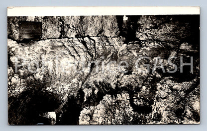 Postcard ZBRASOVSKÉ ARAGONITE CAVES NEAR HRANICE (ST8167)