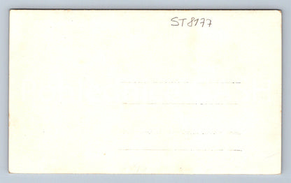 Postcard KRKONOSE - SNOW WHITE (ST8177)