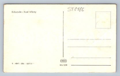 Postcard KRKONOSZÍ - GOAT BACKS (ST8186)