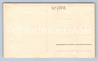 Postcard PRACHOVSKÉ SKÁLY (ST8202)