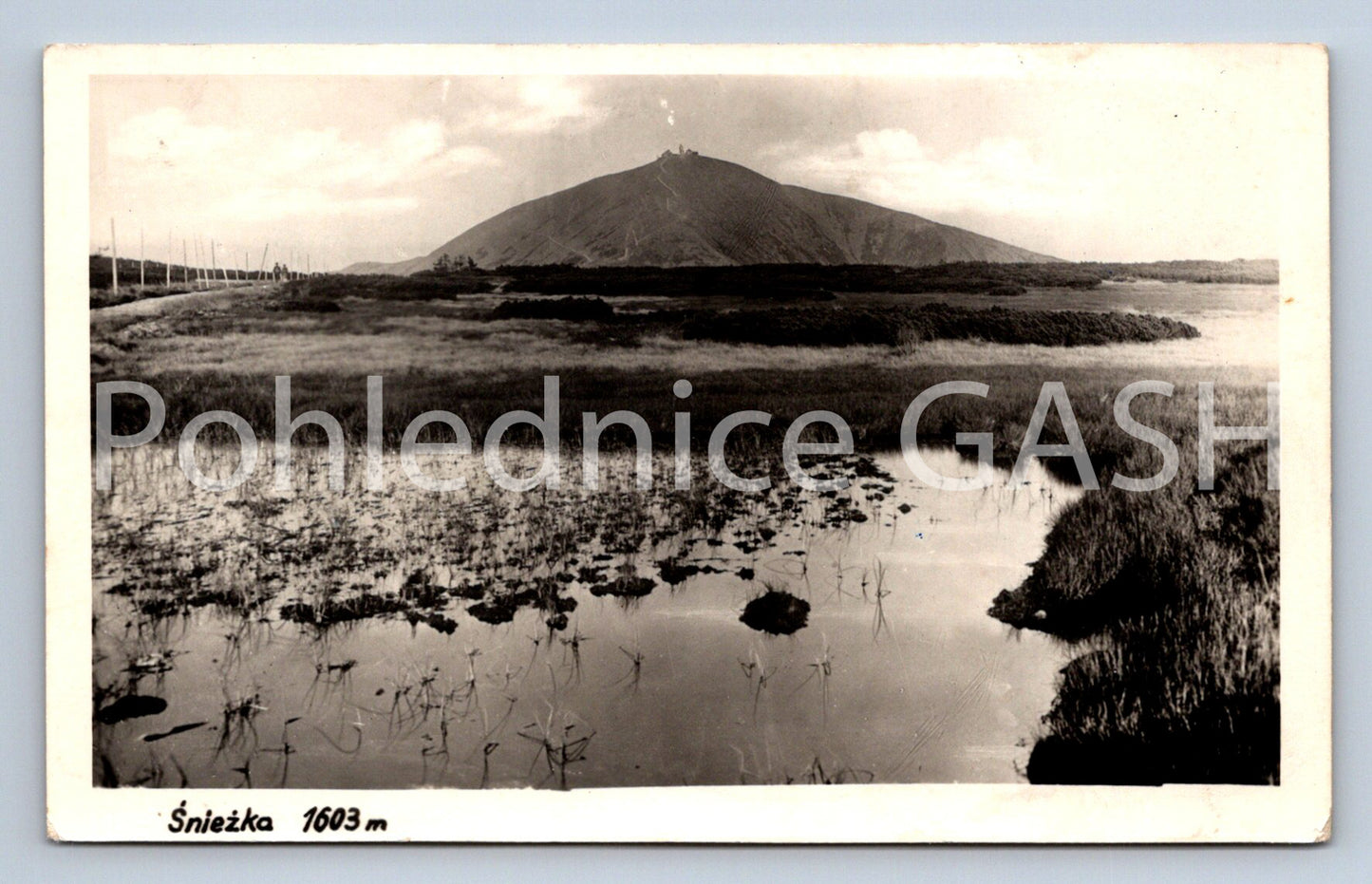 Postcard SNOWFLAKE (ST8218)