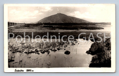 Postcard SNOWFLAKE (ST8218)