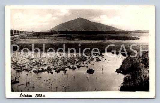 Postcard SNOWFLAKE (ST8218)