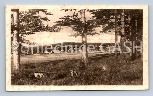 Postcard REJVÍZ (ST8221)