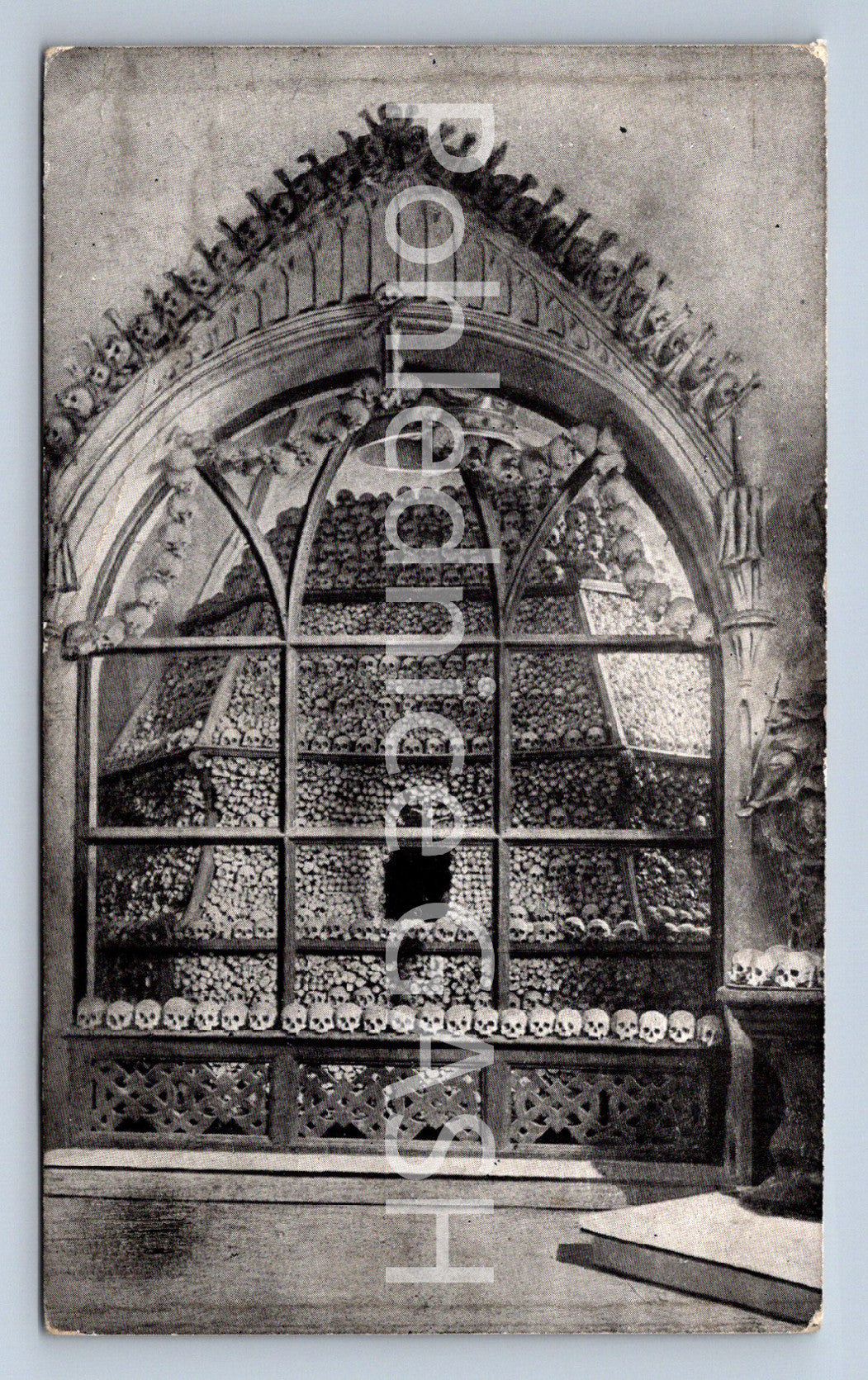 Postcard OSBERNSTEIN IN SEDLEC (ST8224)