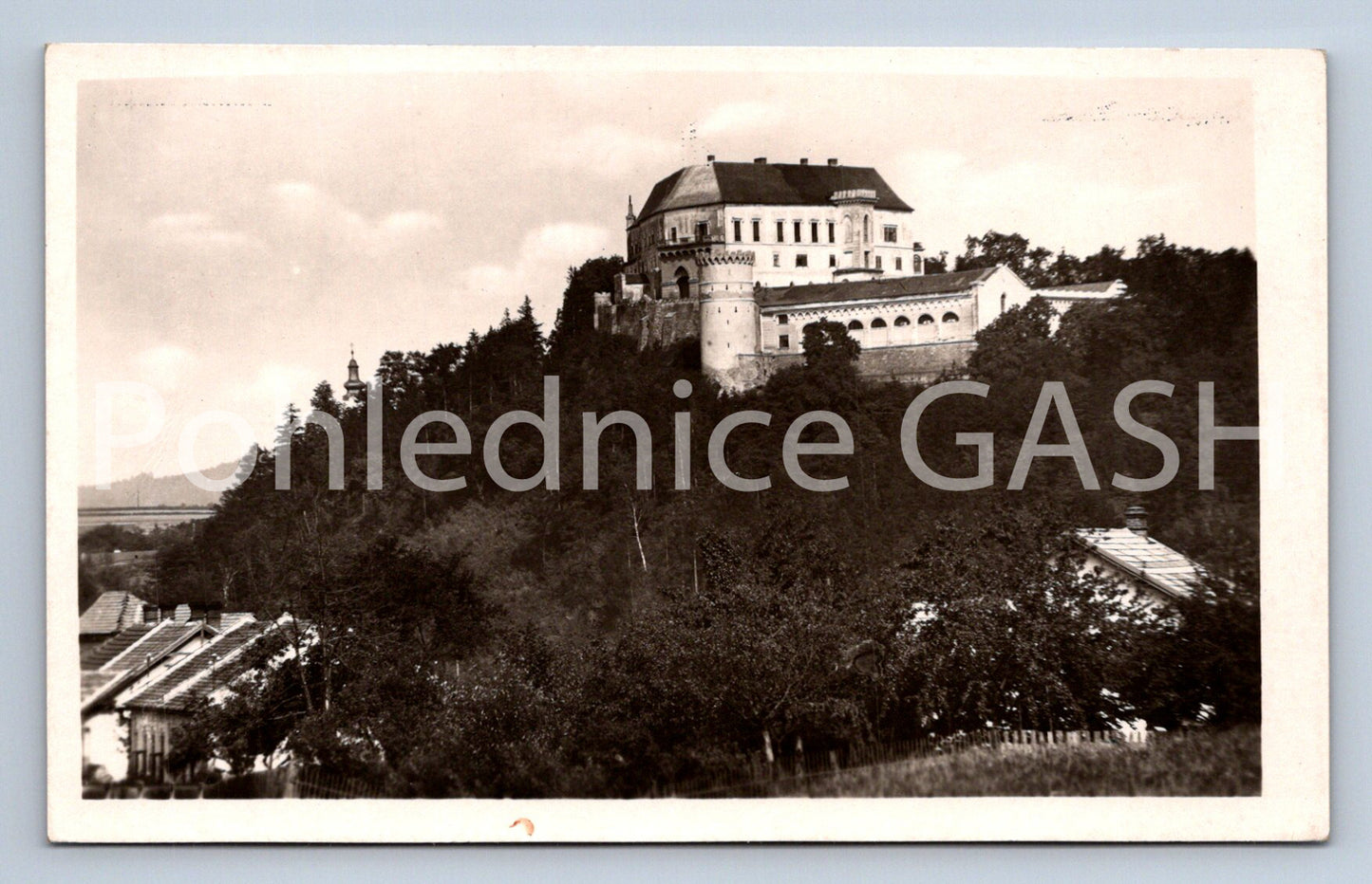 Postcard LETOVICE (ST8236)