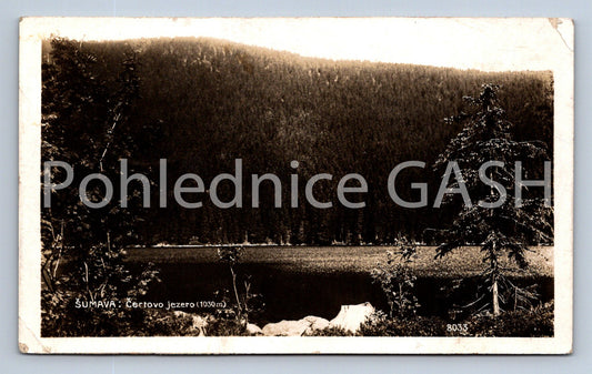 Postcard ŠUMAVA (ST8242)