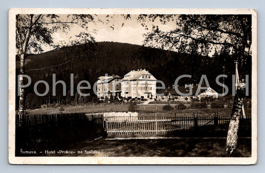 Postcard ŠUMAVA - HOTEL PROKOP (ST8248)