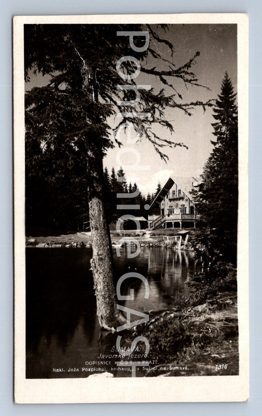 Postcard ŠUMAVA - JAVORSKÉ LAKE (ST8249)