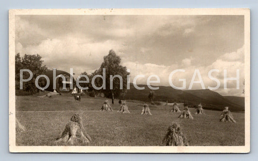 Postcard LIBVERDA SPA (ST8274)