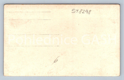 Pohlednice POD LICHNICÍ (ST8298)