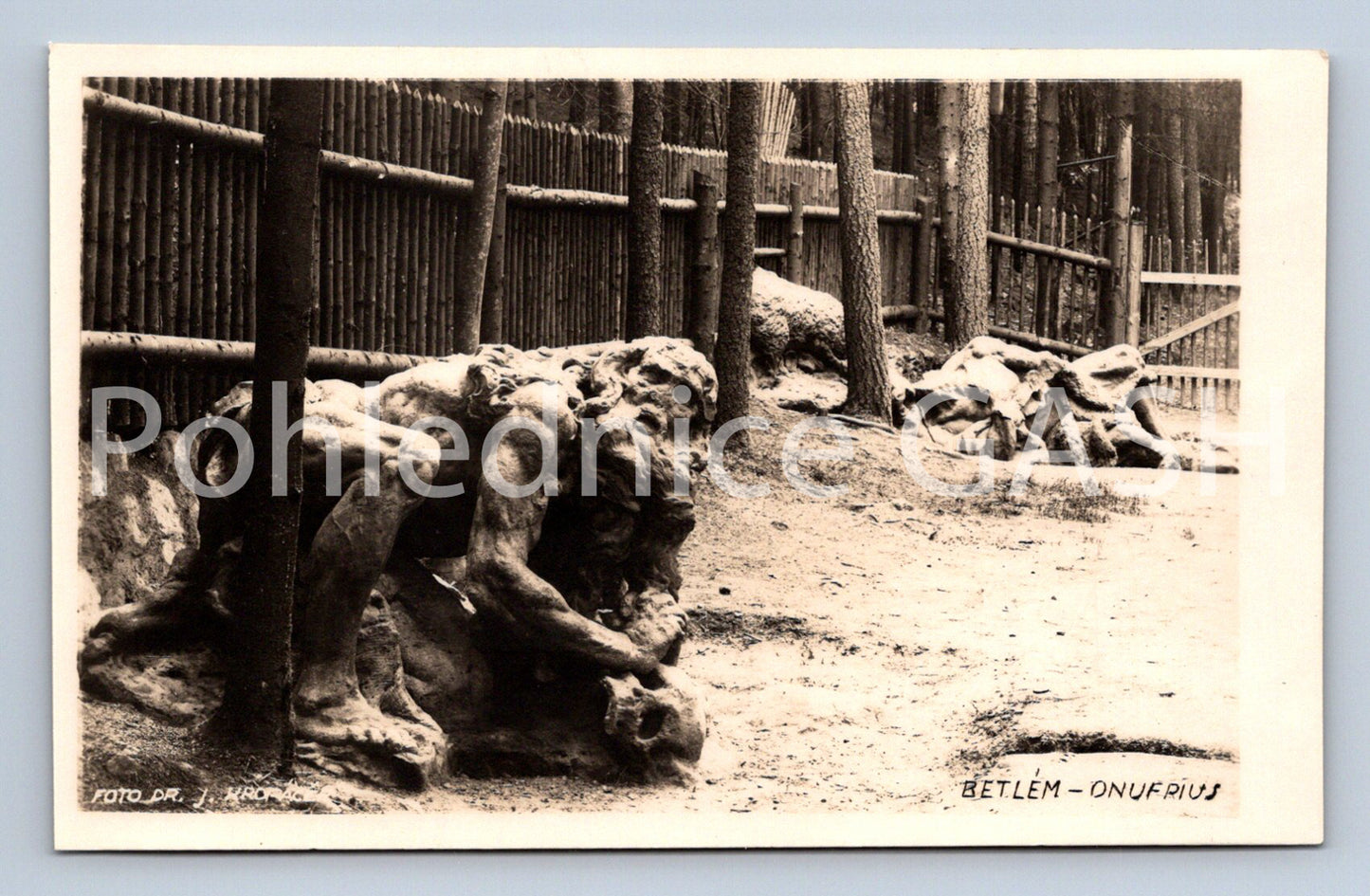 Pohlednice BETLÉM - ONOFRIUS (ST8319)