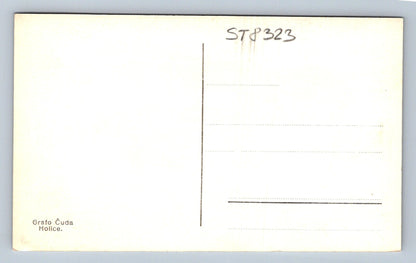 Pohlednice ČESKÁ TŘEBOVÁ (ST8323)