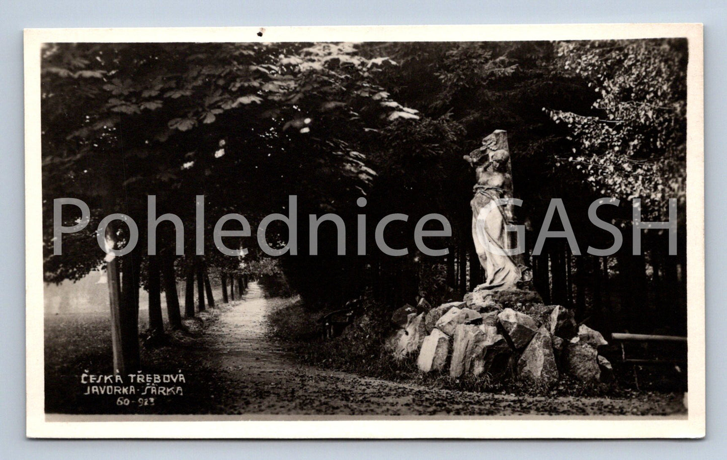 Pohlednice ČESKÁ TŘEBOVÁ (ST8323)